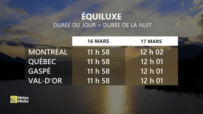 EQUILUXE 1