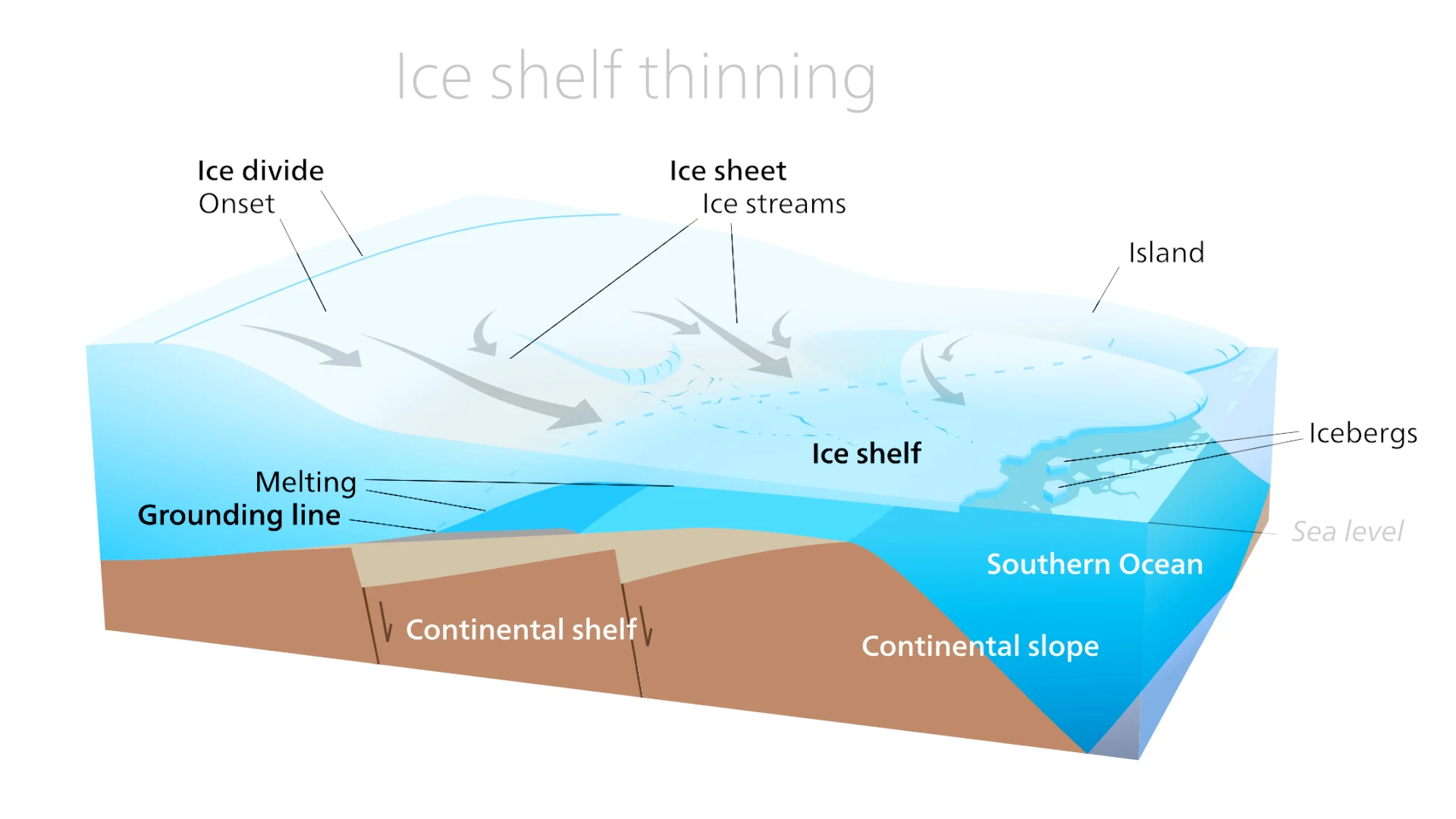West Antarctic ice sheet thinning diagram with grounding line