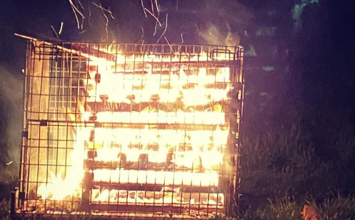 Winery uses 'cage fires' to protect vines from late-season snow