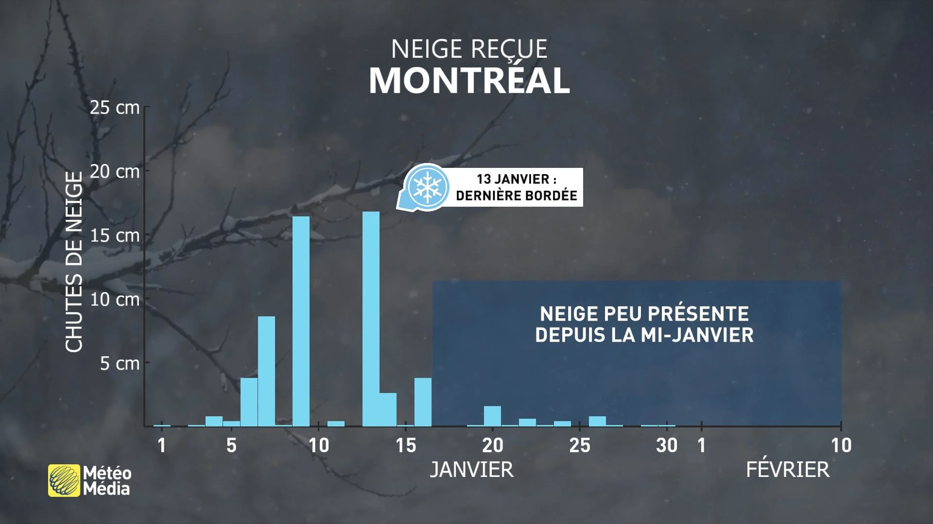 NEIGE1 REÇUE