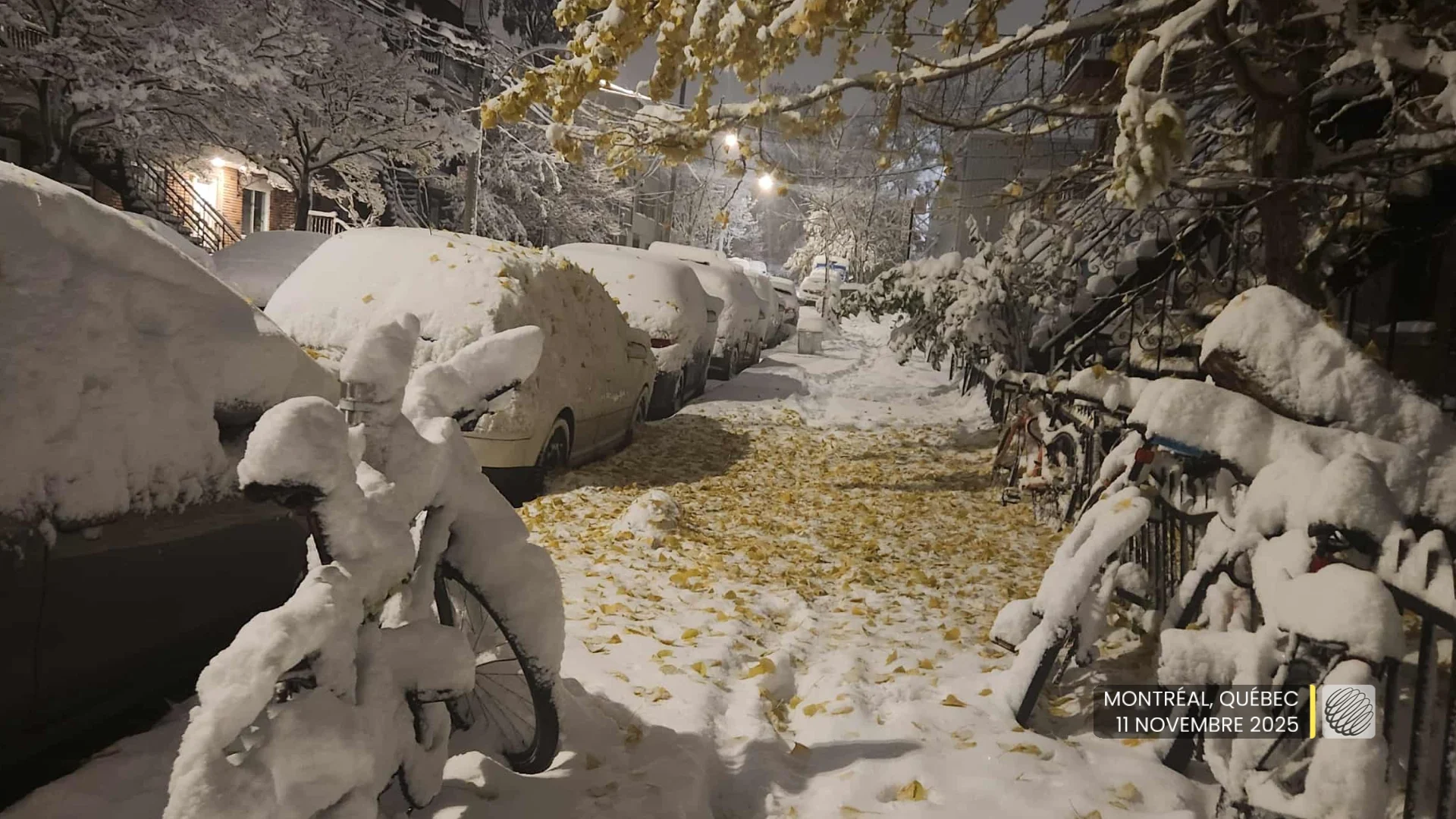 L'hiver s’acharne et voyez pourquoi
