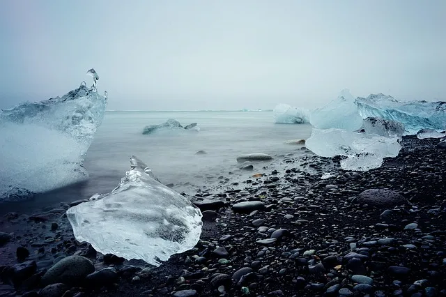 L'océan arctique abrite des dizaines de milliers de virus