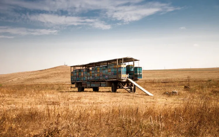 Southwestern U.S. is entering a rare megadrought, study says