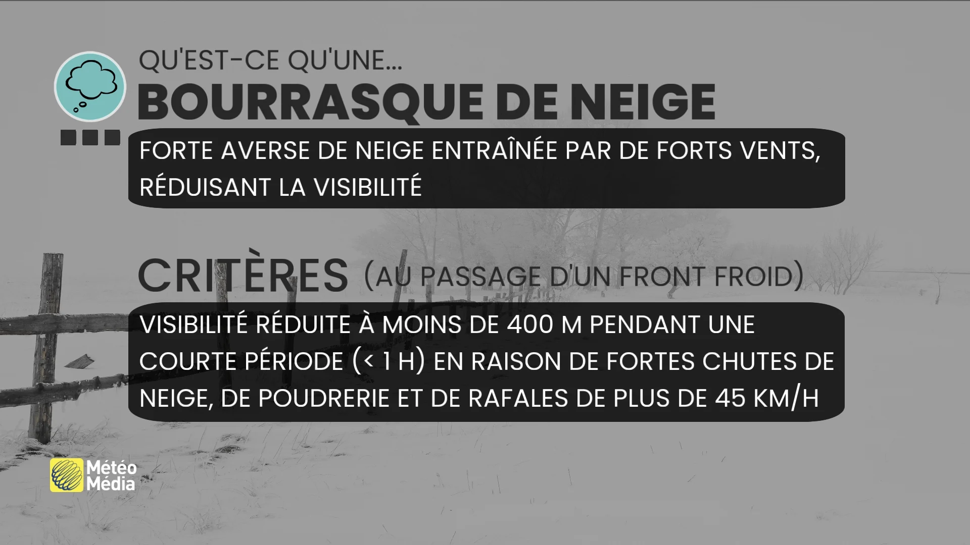 NEIGE4