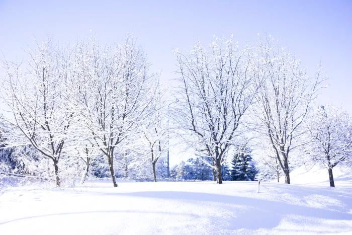 Un vrai week-end d'hiver nous attend