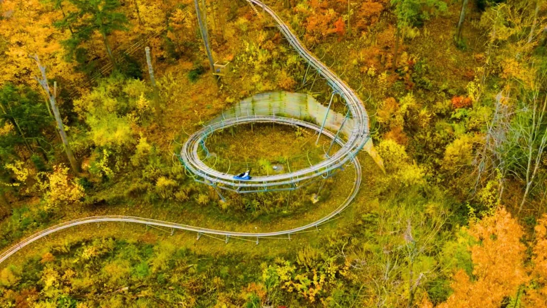 This epic mountain coaster offers breathtaking views of Ontario's fall