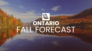 Winter can wait: Extended fall expected as strong El Niño dominates