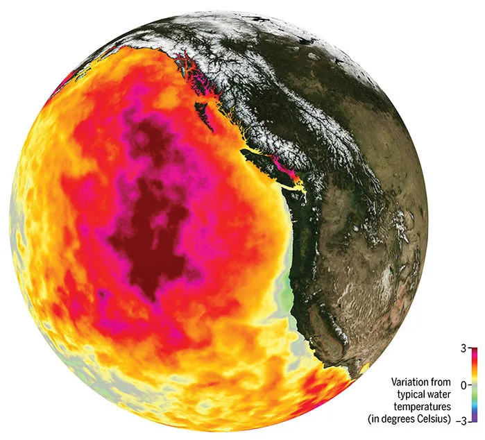 0201NewsFeature PacificBlob Globe5