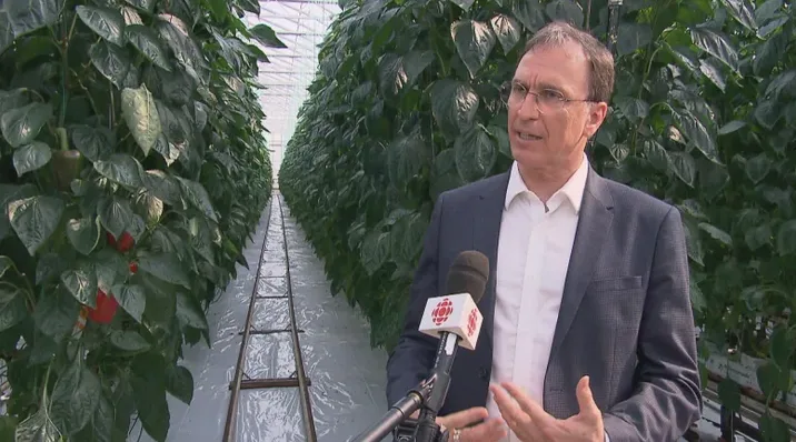 Quebec to build $70 million greenhouse to reduce dependence on imported produce