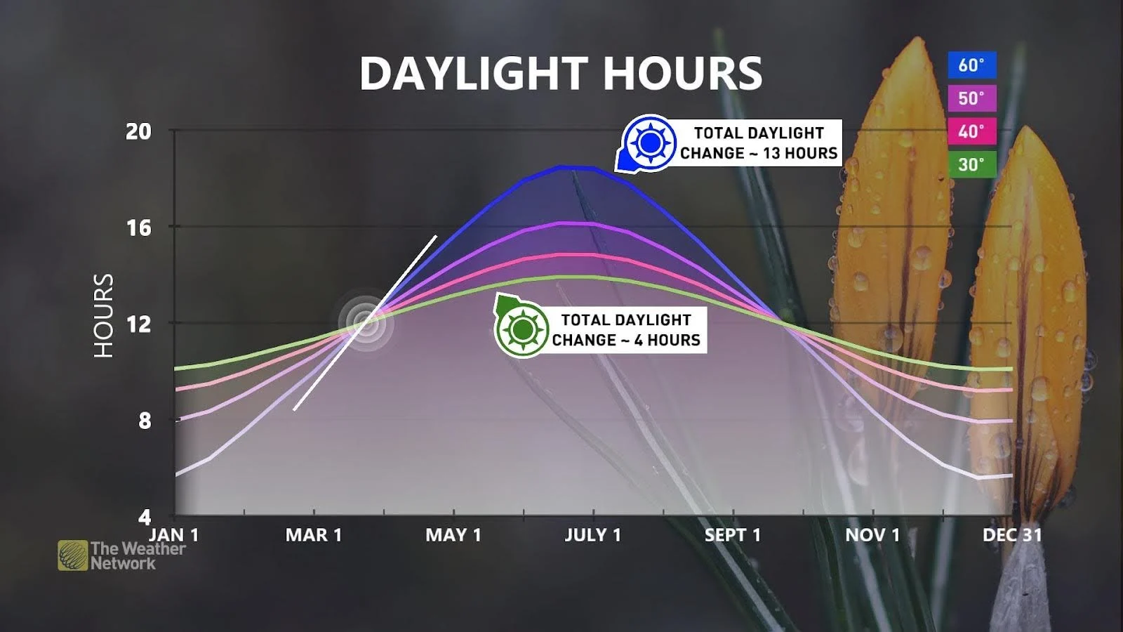 Daylight Hour Changes By Latitude
