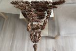 A fall craft hack to make a bug-free pine cone wreath
