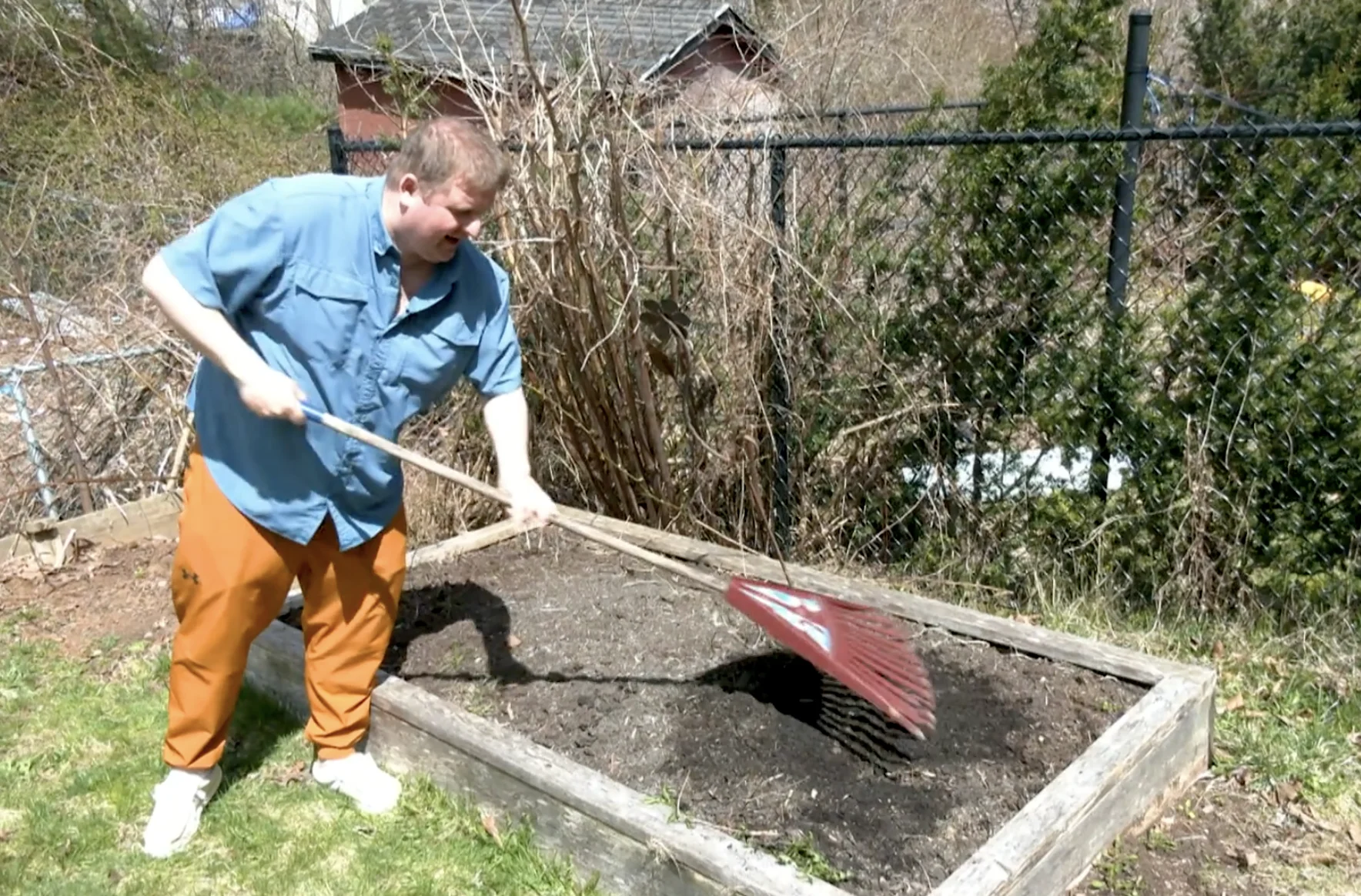 Nathan Coleman: Raking soil to keep earwigs at bay. 