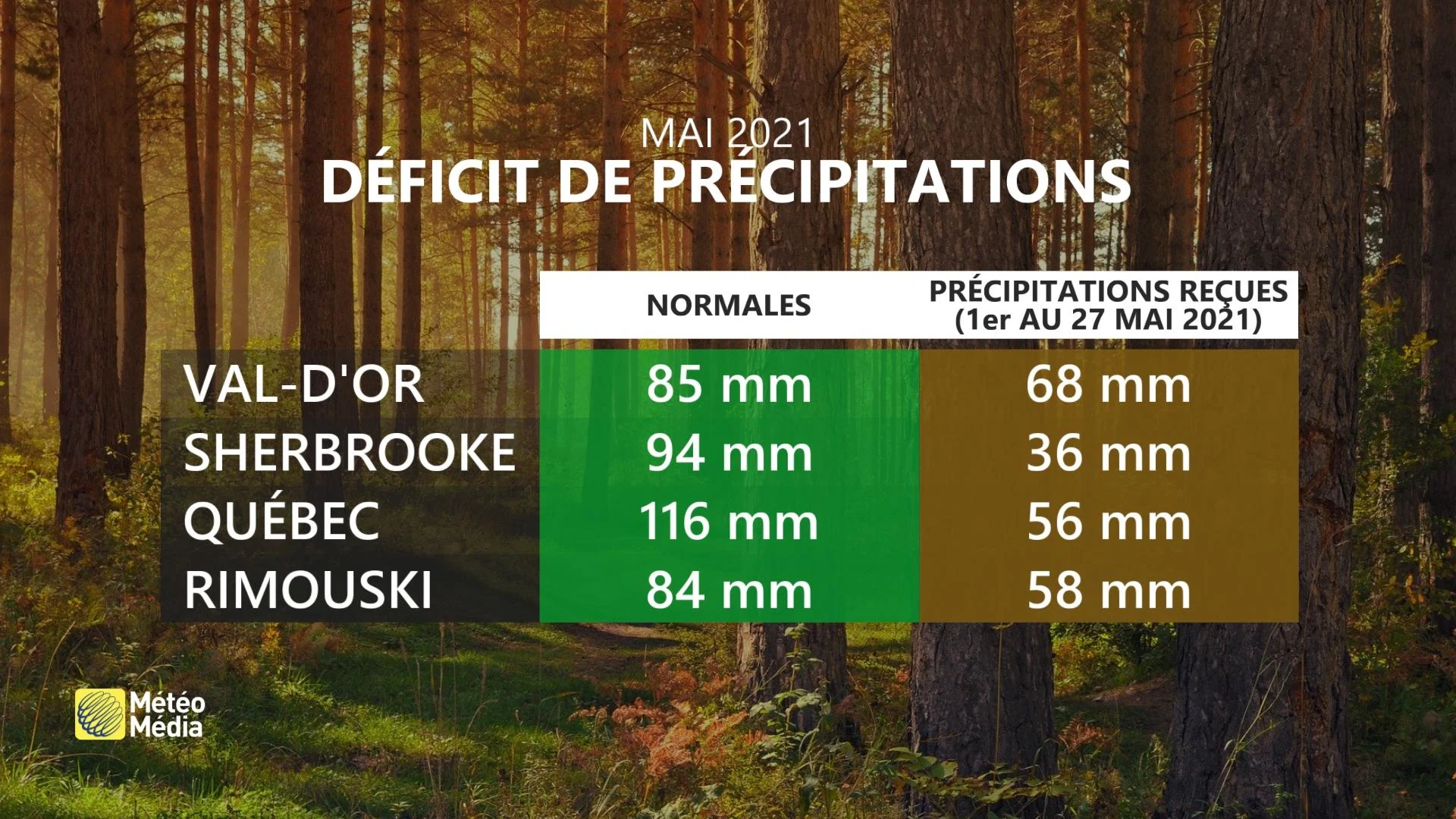 CORRECTION PLUIE RECUE