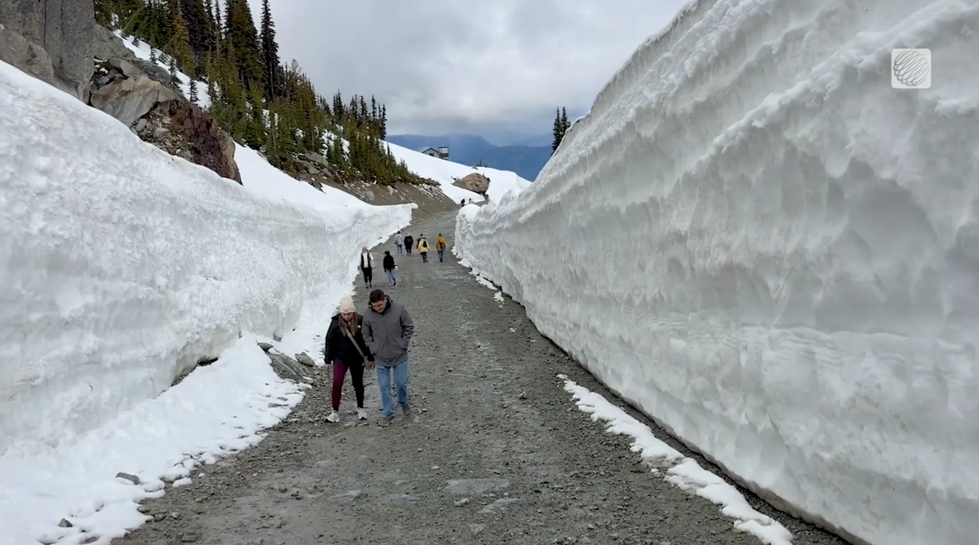 Mia Gordon: Snow Walls trail on Whistler Mountain