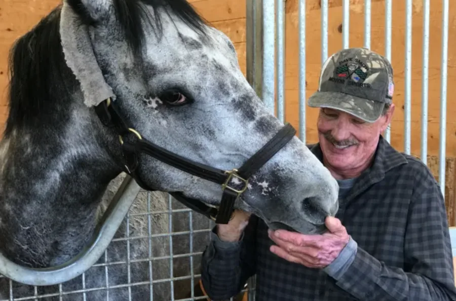 Horse and owner recover after 'hell came to town'