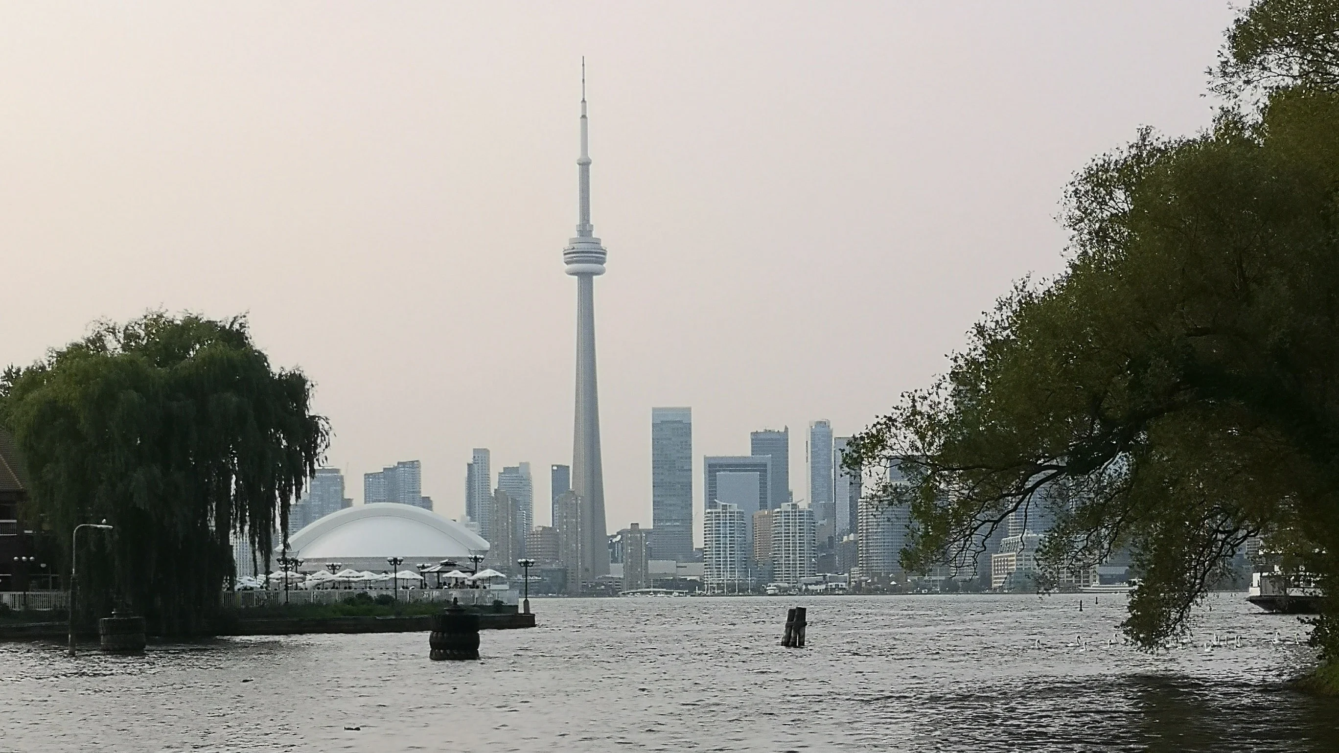 Toronto Wildfire Smoke - Summer Tourism Story (Pexels)