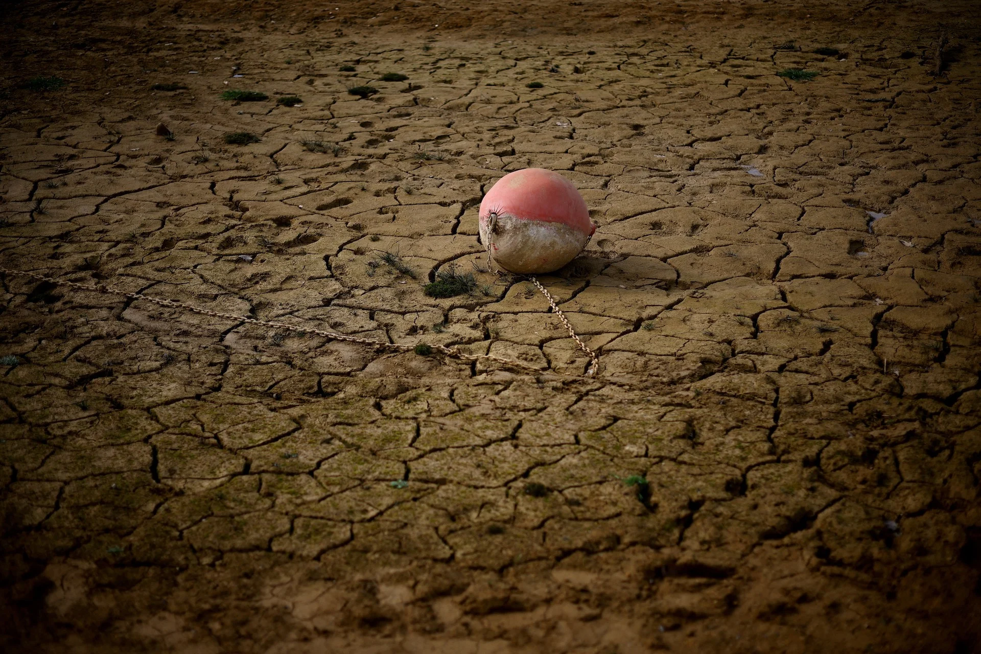 Drought/REUTERS/Sarah Meyssonnier/File Photo