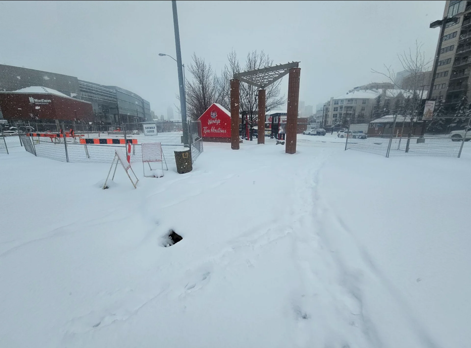 Connor O'Donovan: Heavy springtime snow in Edmonton, Alberta. March 28, 2025