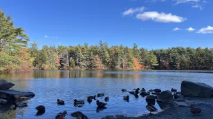 Soak up the sun: Maritimes soon to see driest stretch of 2024