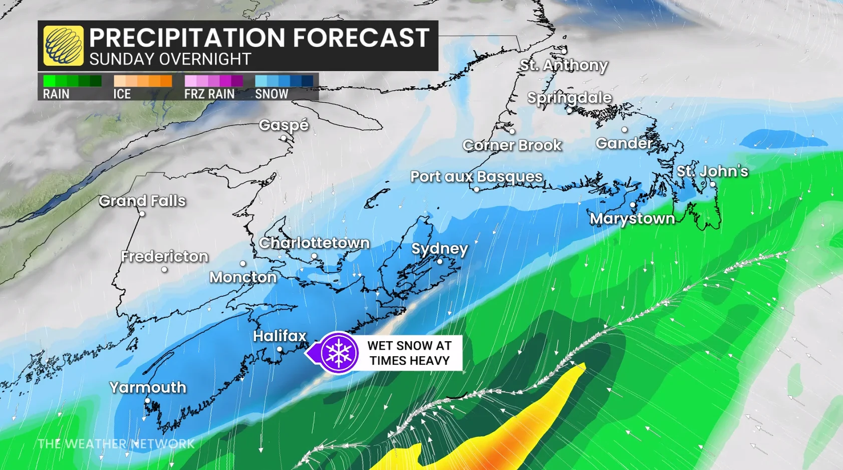 Newfoundland precipitation Monday afternoon