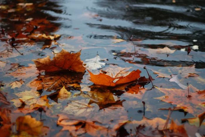 Une semaine qui permettra de fracasser des records de pluie