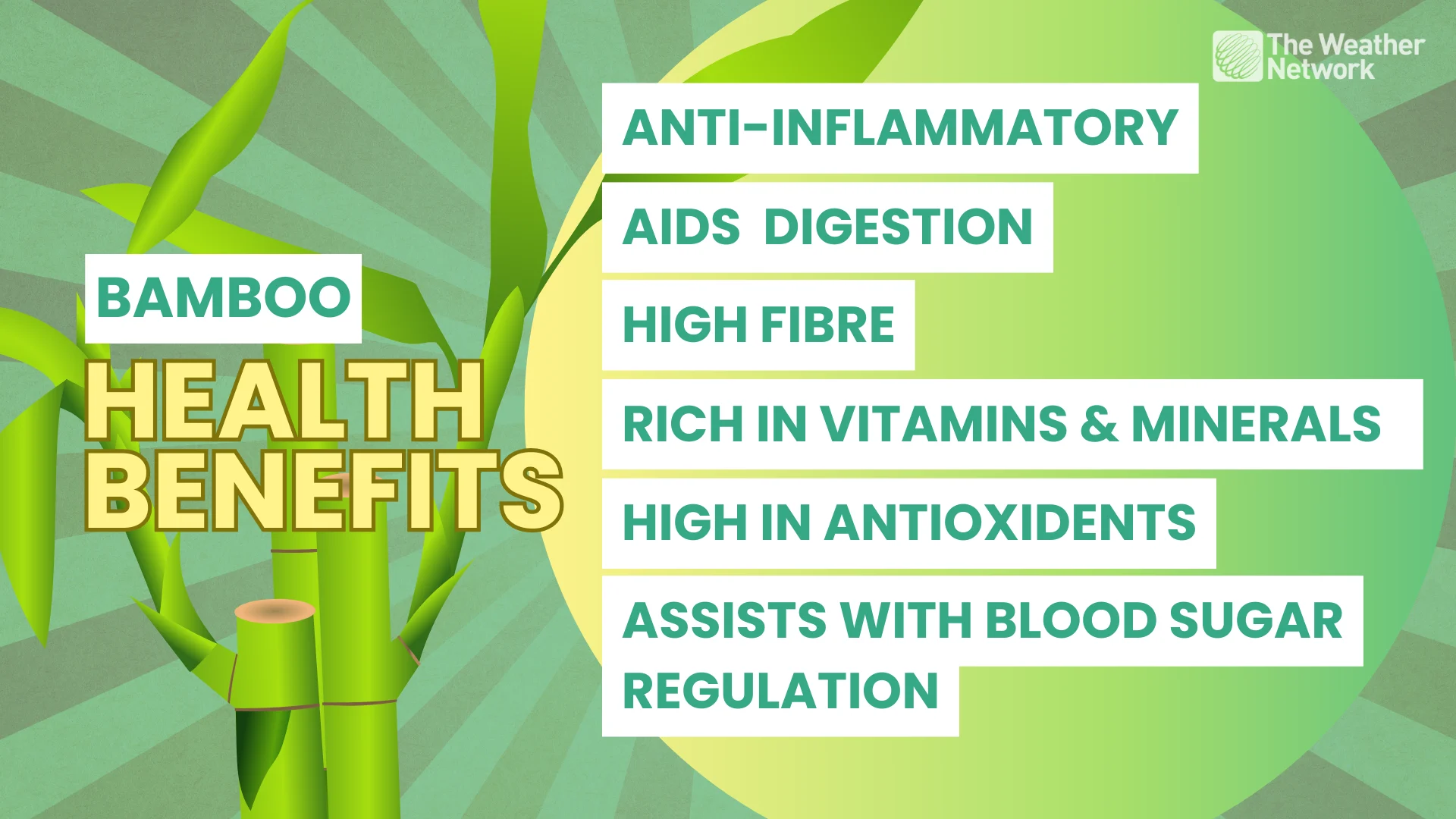 CANVA - bamboo benefits