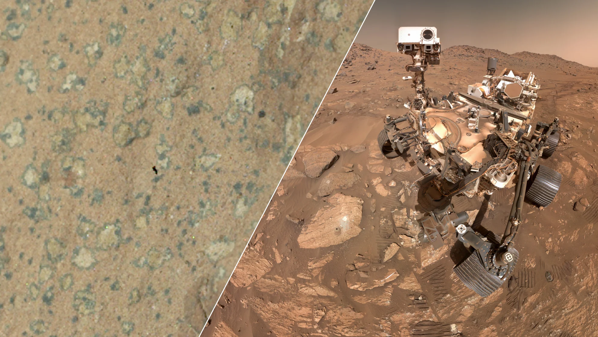 'Leopard-spotted' rock may be a sign of ancient life on Mars