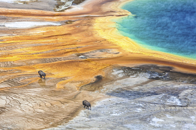 yellowstone Credit: Daniel Osterkamp. Moment. Getty Images