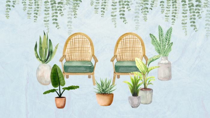 Is it ok to bring my houseplants outside for the summer?