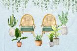 Is it ok to bring my houseplants outside for the summer?