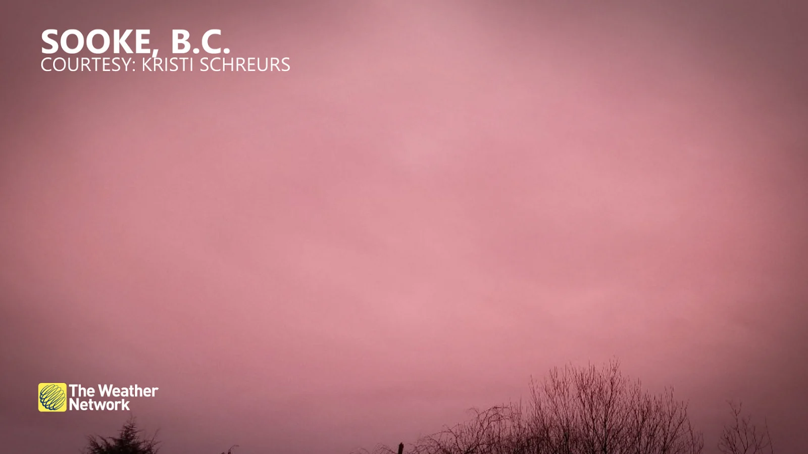 (UGC Kristi Schreurs) Pink sky over Sooke BC