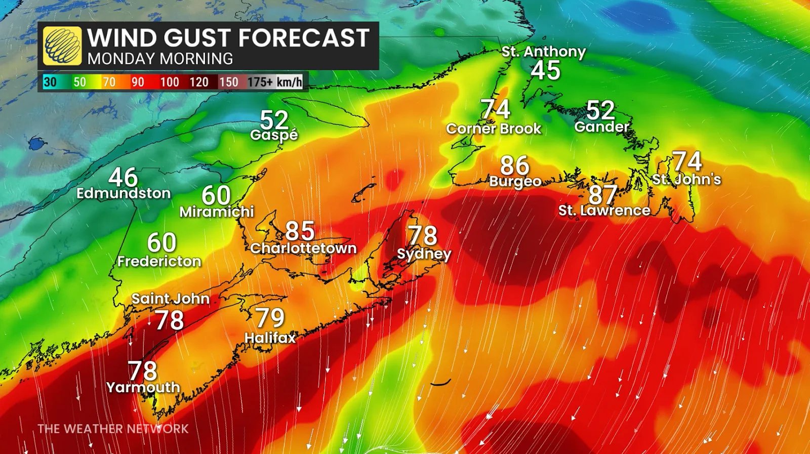 Atlantic Canada, Wind, Gust, Storm, Forecast, Nor'easter, January 31, 2026. (The Weather Network)