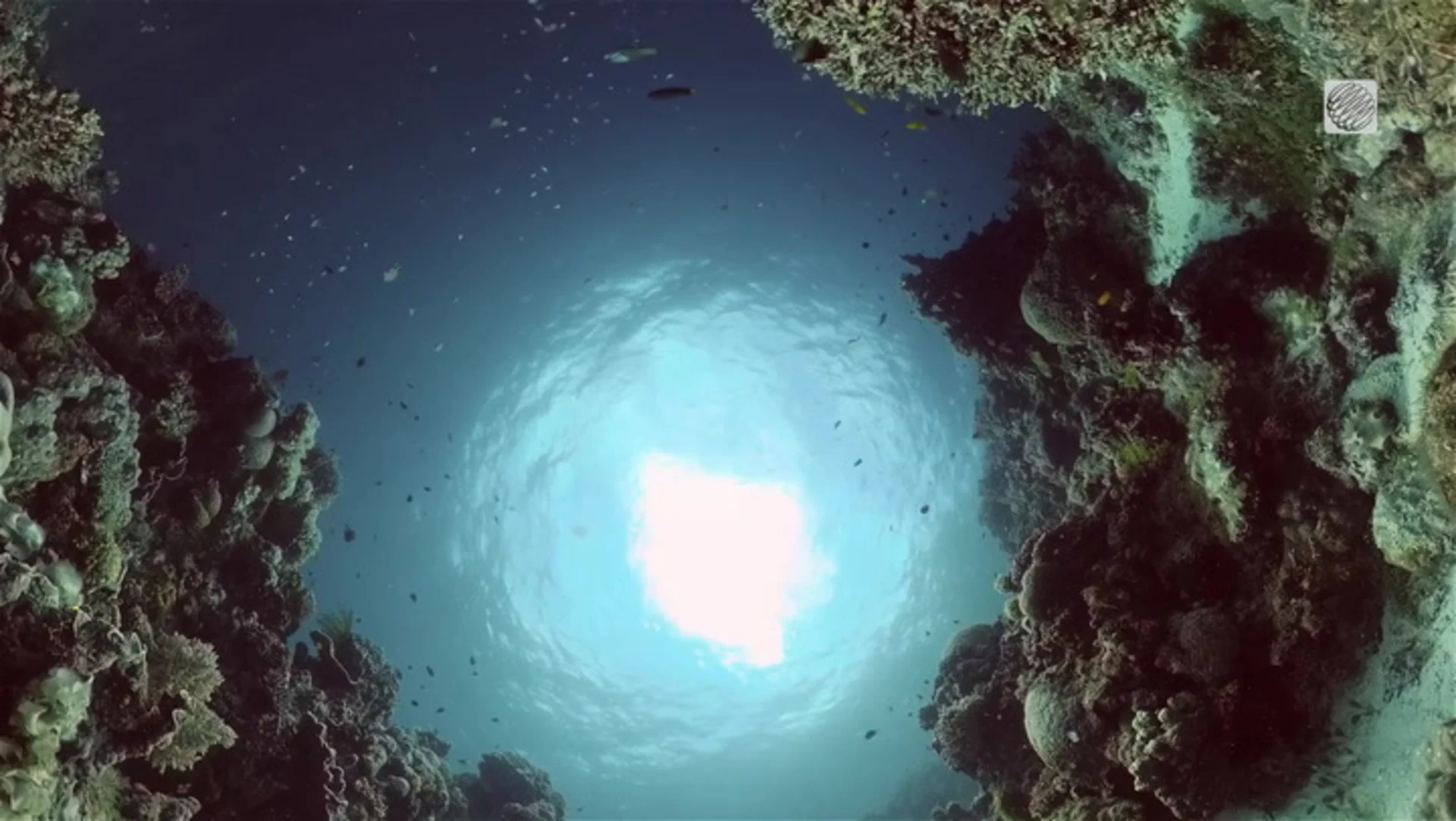 Ce trou dans l'océan serait le plus profond au monde. Voyez où c'est.
