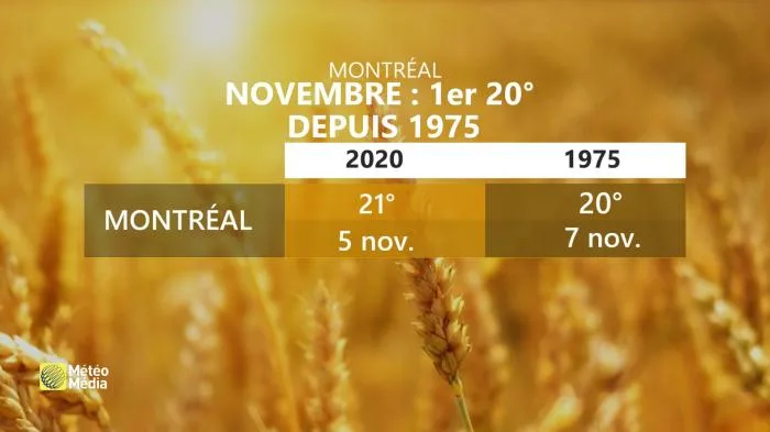 20 deg montreal