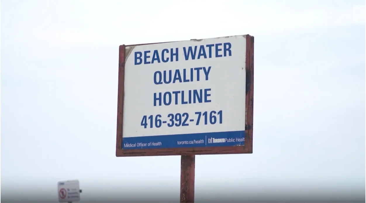 TWN: Toronto's beach water quality hotline (e. coli)
