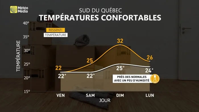 DÉMÉNAGEMENT1 (1)
