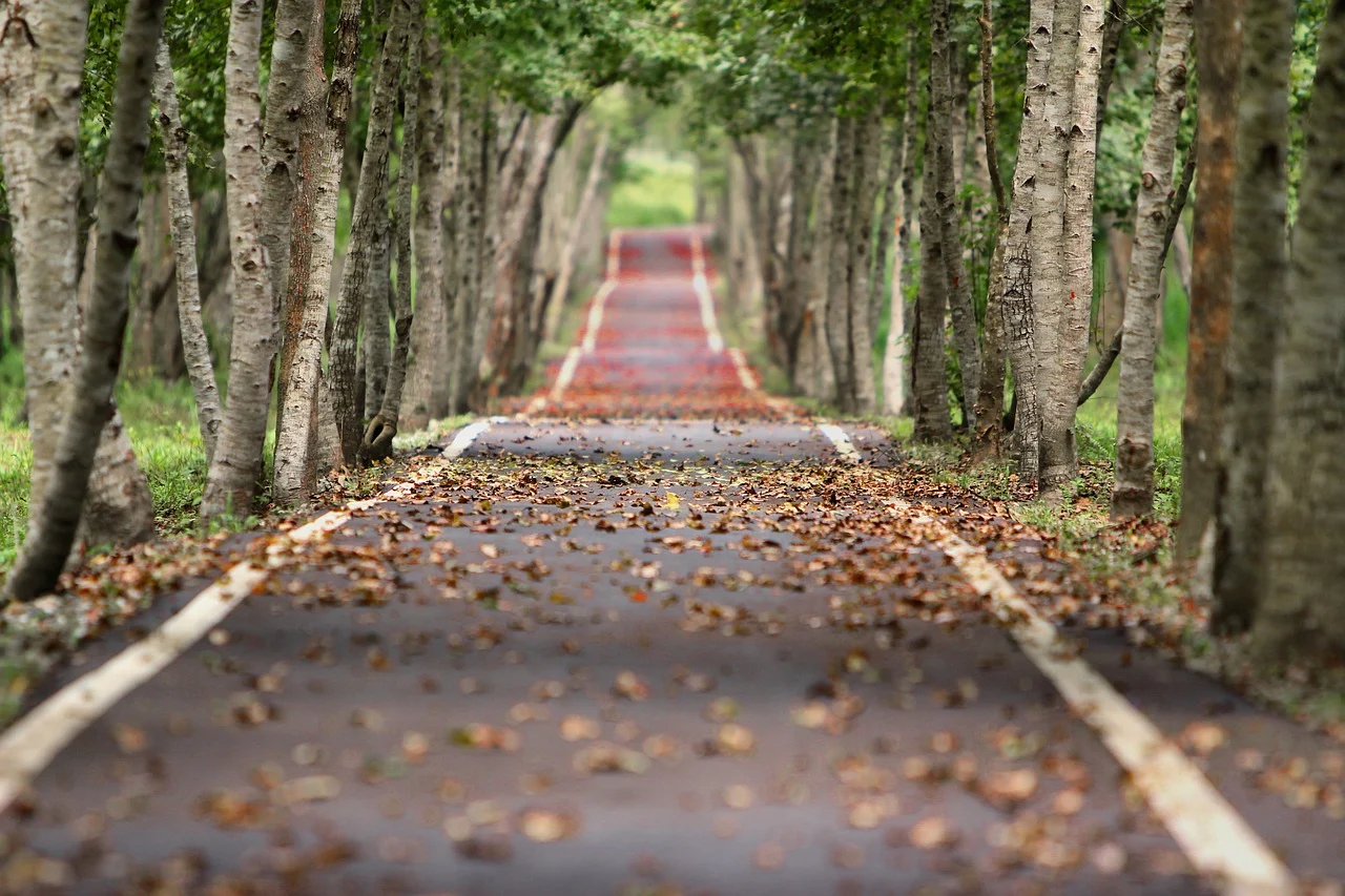 Feuilles