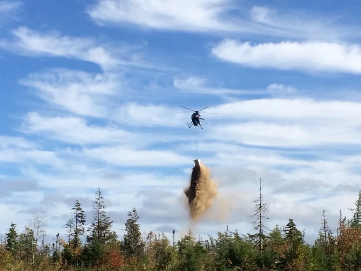 limestone-discharge/Nova Scotia Salmon Association via CBC