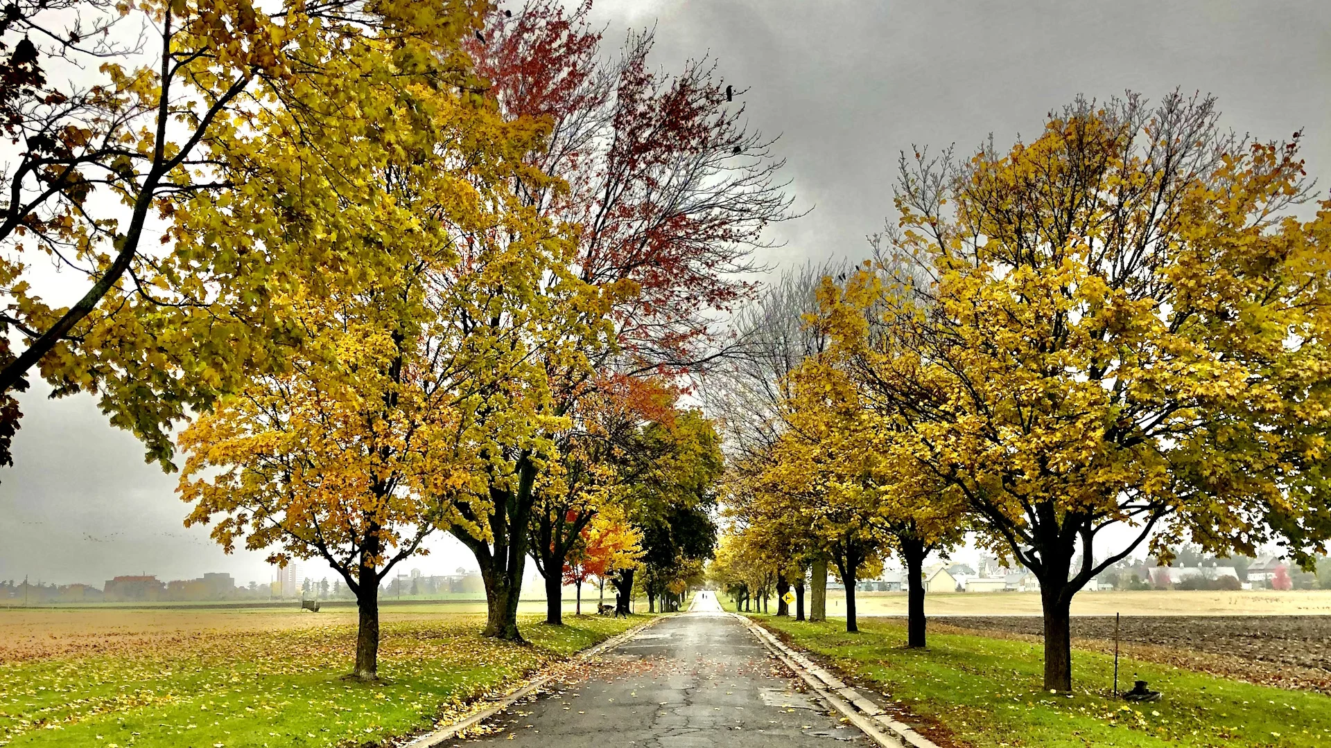 Chilly Thanksgiving may bring hint of snow to southern Ontario