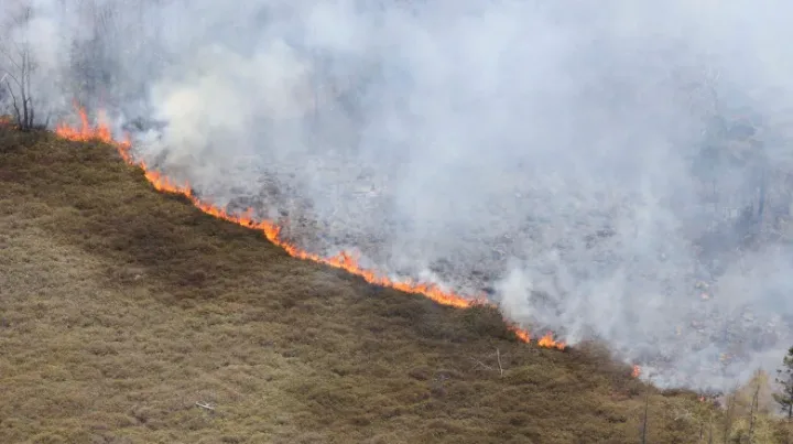 (Communications Nova Scotia) Horseshoe Lake wildfire