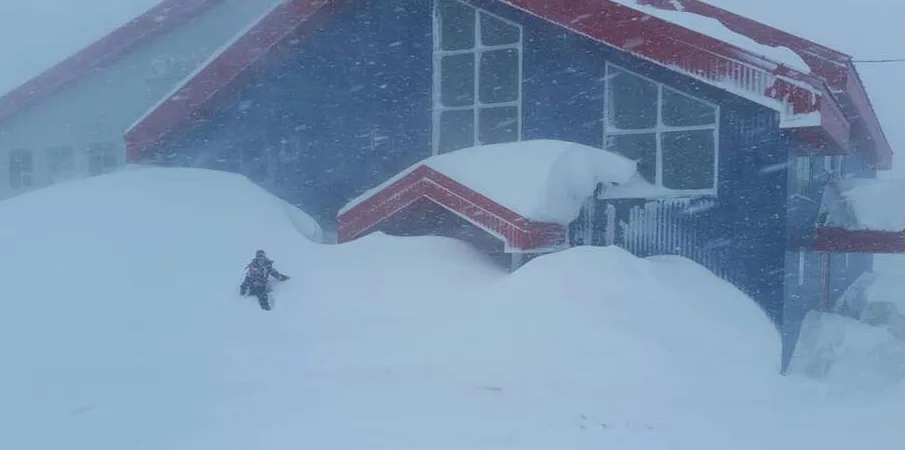 Eastern Canada puts the west to shame for this 2019 title