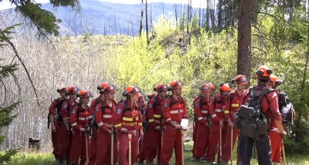 Here is what it takes to become a B.C. wildfire firefighter