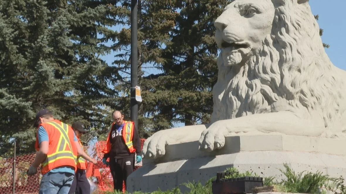 CBC Native plants have been reintroduced to the green space surrounding Rotary Park's Centre Street Bridge lion sculpture. (Nick Brizuela/CBC)