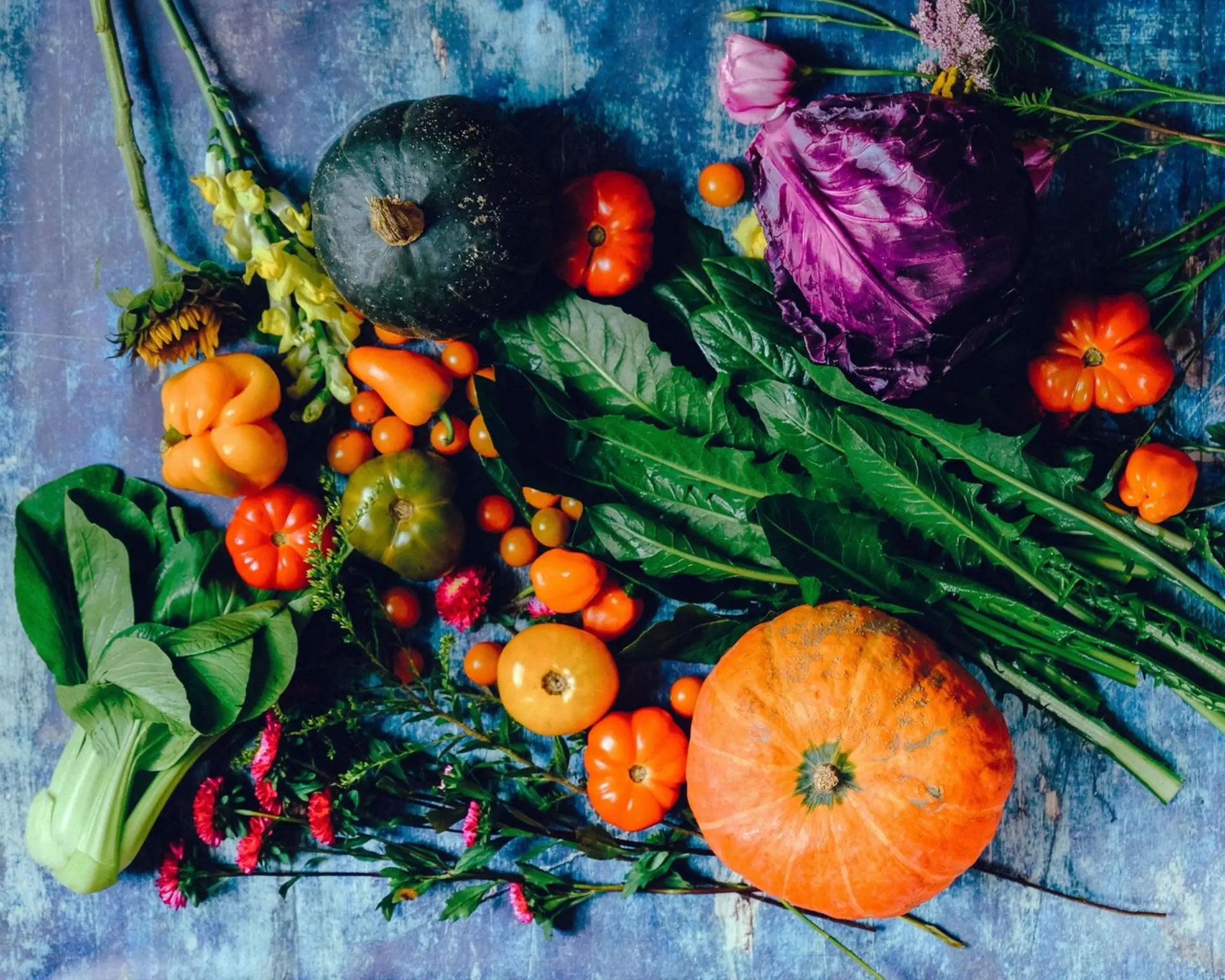 Top foods you need on your grocery list this fall