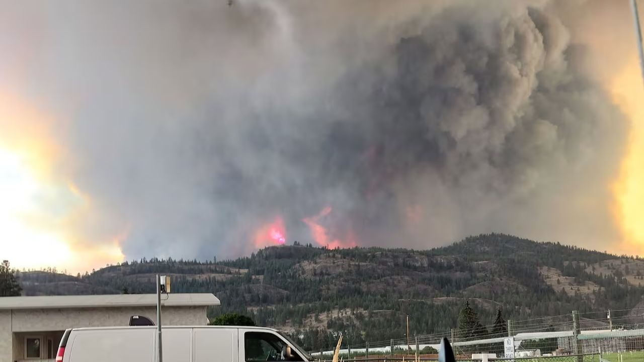 B.C. declares provincewide state of emergency amidst wildfires