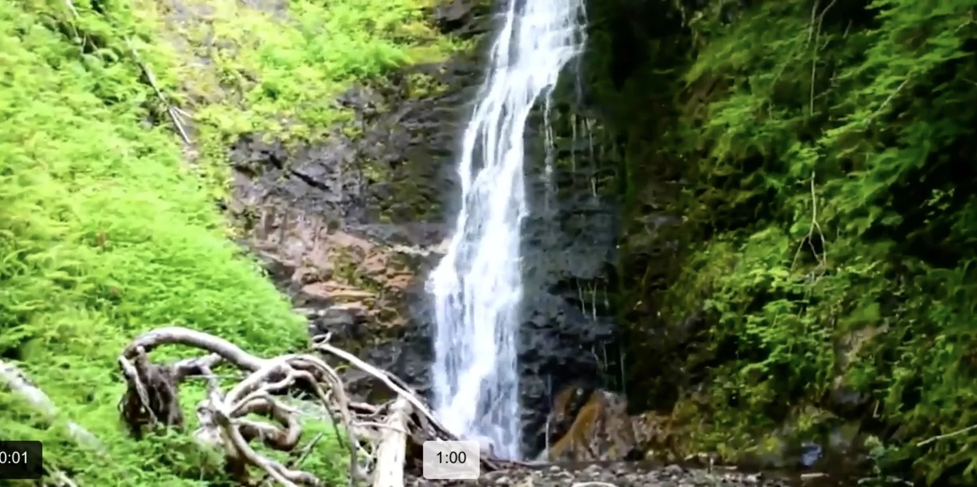 Chasing waterfalls in Nova Scotia 