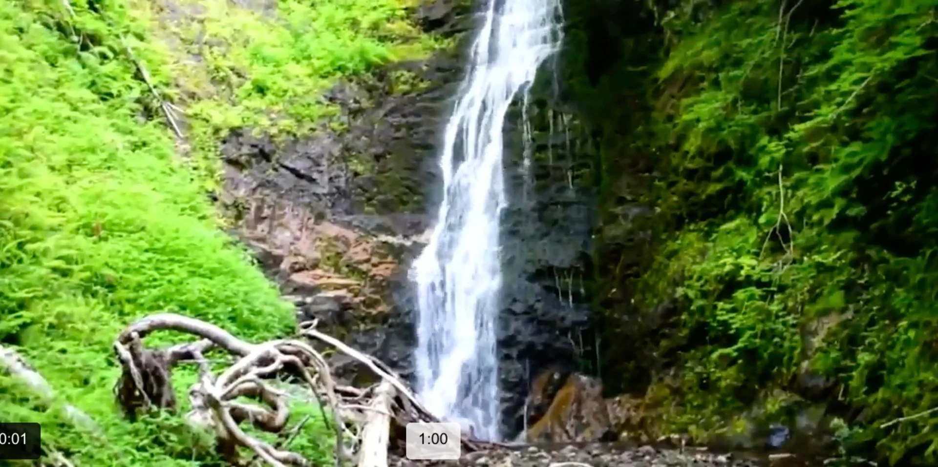 Chasing waterfalls in Nova Scotia 