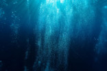 Le Pacifique :  l'écosystème du plus grand océan du monde est en péril