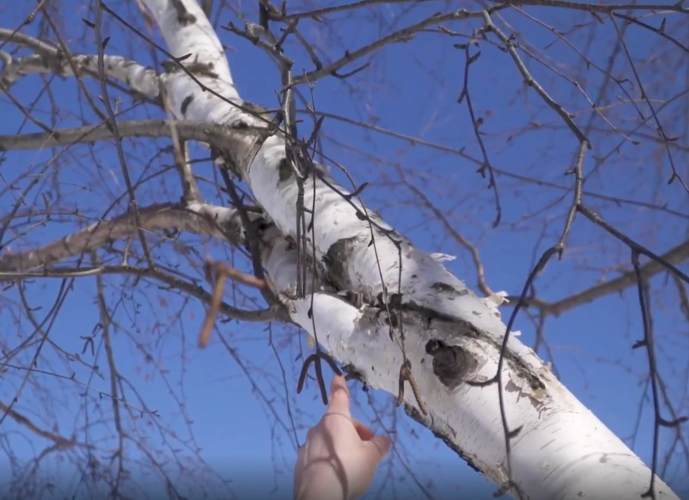 Jordyn Read: Example of a branch union