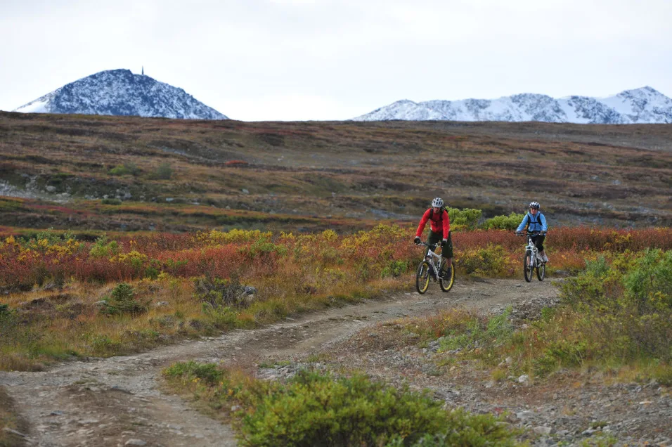 Gov't of Yukon / Derek Crowe: Carcross mountain bike trail. Submitted.